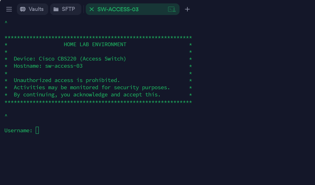 Building My Home Lab - Part 2:  Switch Fabric Configuration and VLAN Segmentation